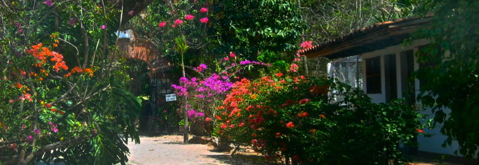 banner